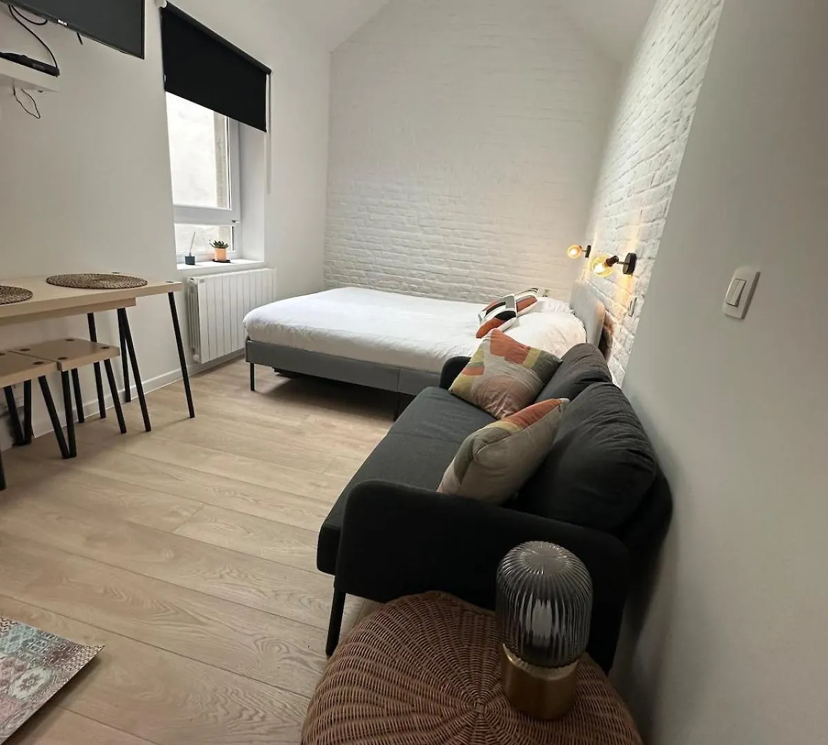 Ixelles - Cozy Studio In Middle Of European District Brussels